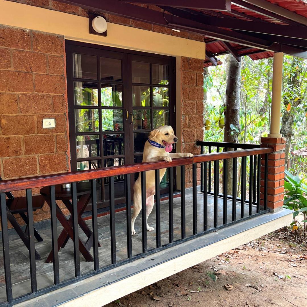 Raindrops Resorts Wayanad Султан Батери Екстериор снимка