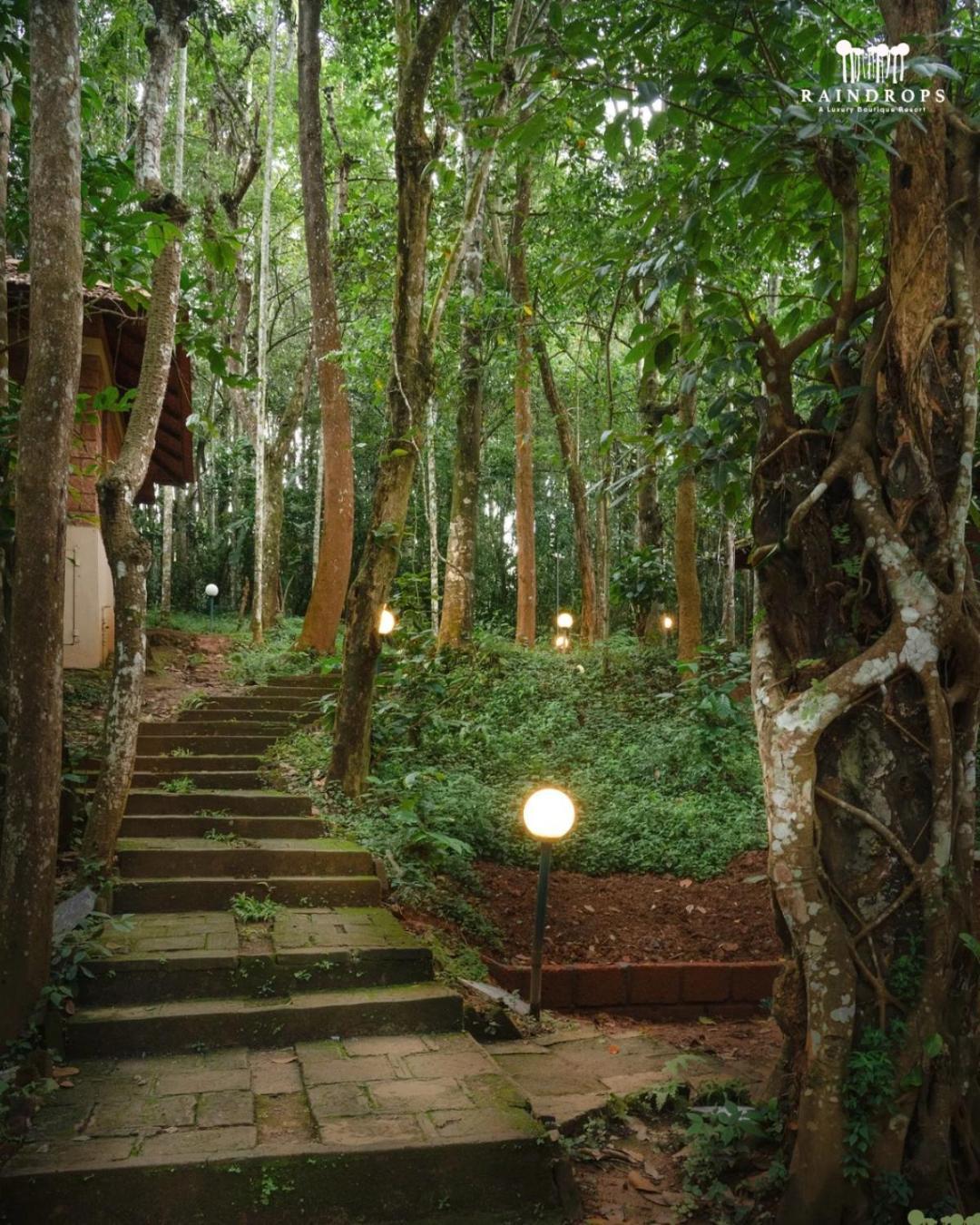Raindrops Resorts Wayanad Султан Батери Екстериор снимка