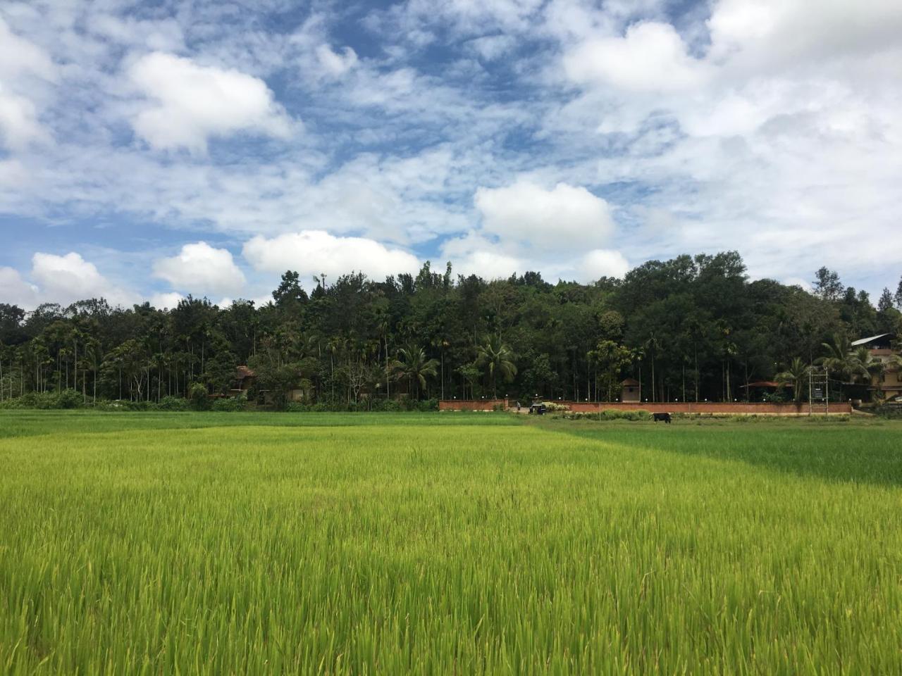 Raindrops Resorts Wayanad Султан Батери Екстериор снимка